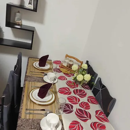 241-1Br -1Bed 1 Extra Mattress Apartment